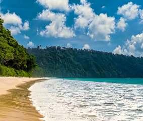 andaman beaches with sand and trees at the background