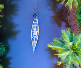 houseboat in backwater with coconut trees.