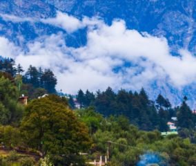 aerial view of manali hill station with snowcapped peak