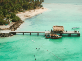 aerial view of andaman island beach with a walkable bridge for jetty